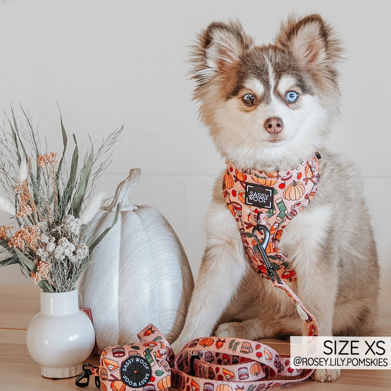 Sassy Woof Adjustable Harness - Country Pupkin