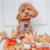 Sassy Woof Adjustable Harness - Country Pupkin