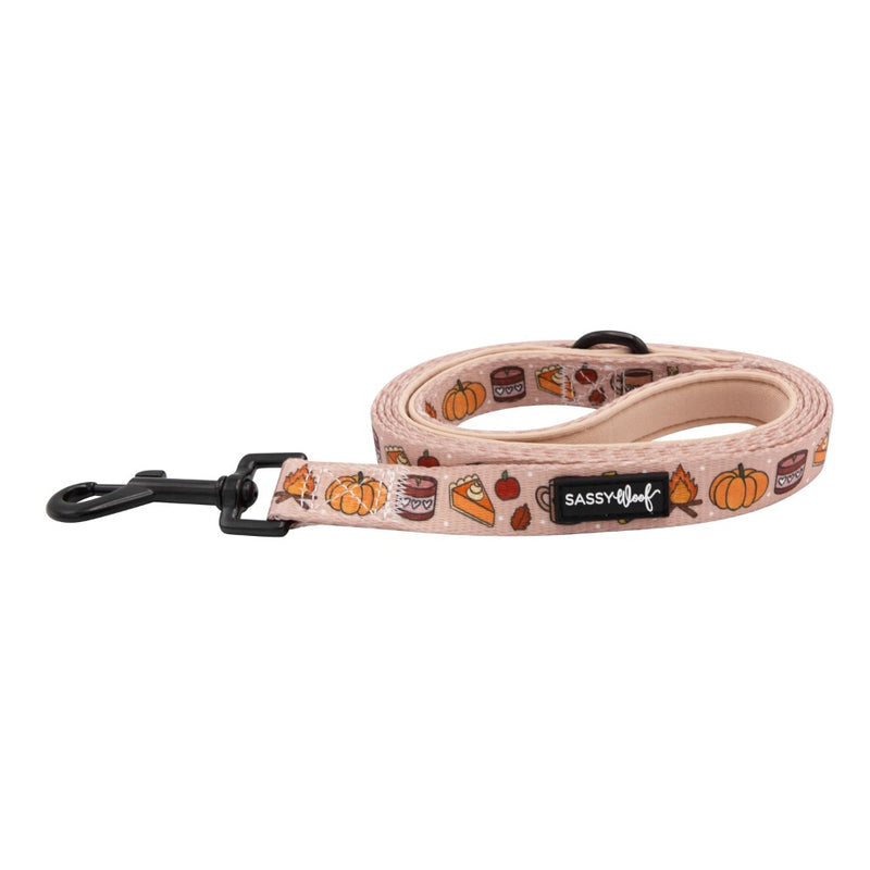 Sassy Woof Leash - Country Pupkin