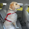 Kurgo Enhanced Strength Tru-Fit Dog Car Harness