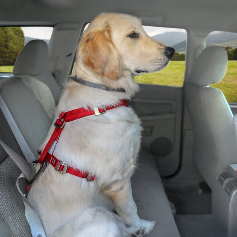 Kurgo Enhanced Strength Tru-Fit Dog Car Harness