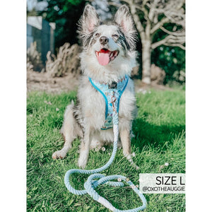 Sassy Woof Air Balloons Adjustable Harness - Daddy's Boy