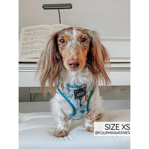 Sassy Woof Air Balloons Adjustable Harness - Daddy's Boy