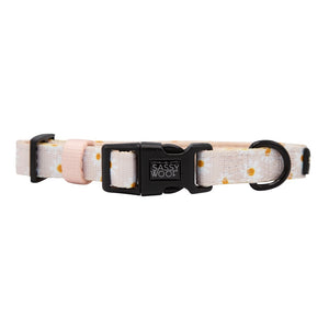 Sassy Woof Collar - Dainty Daisy