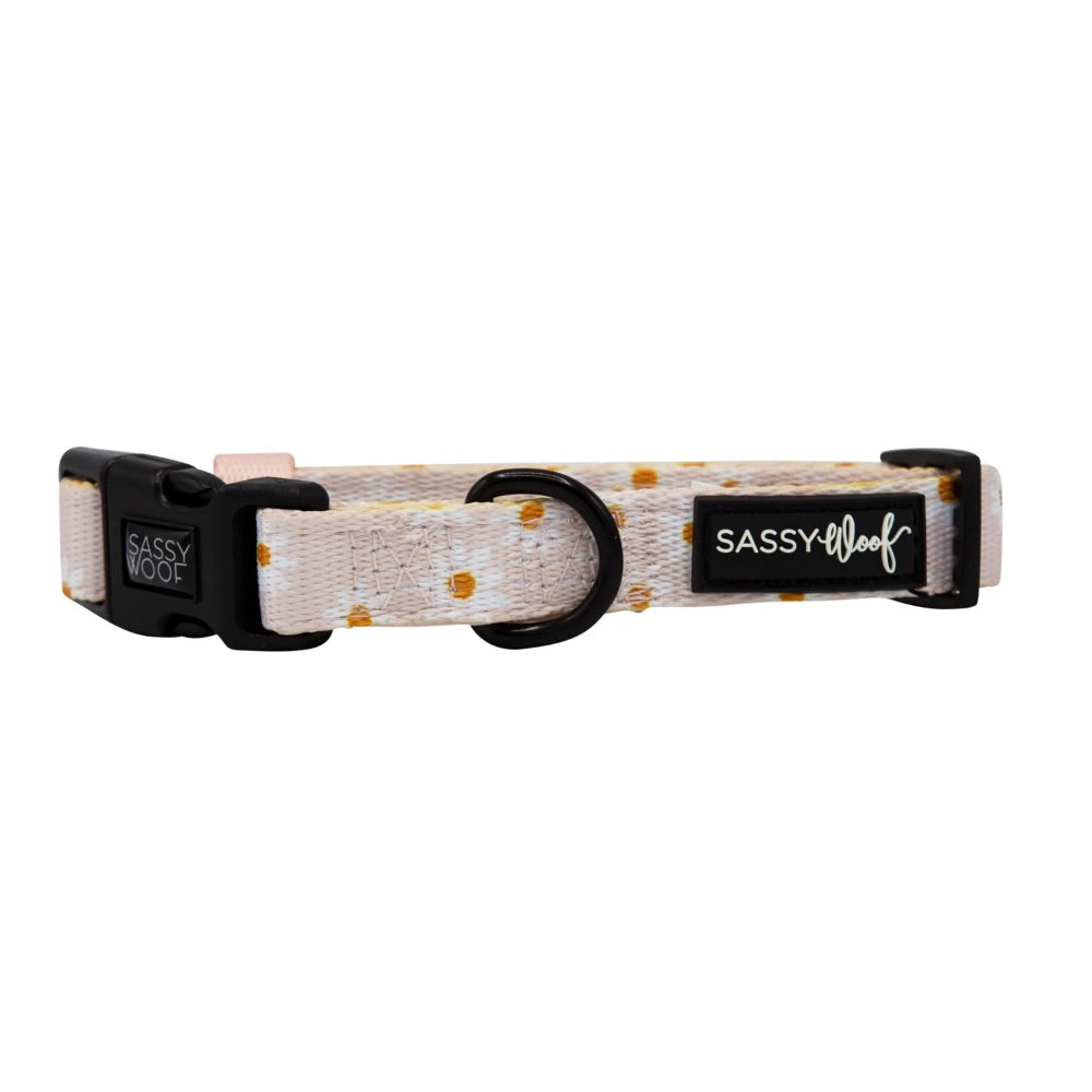 Sassy Woof Collar - Dainty Daisy