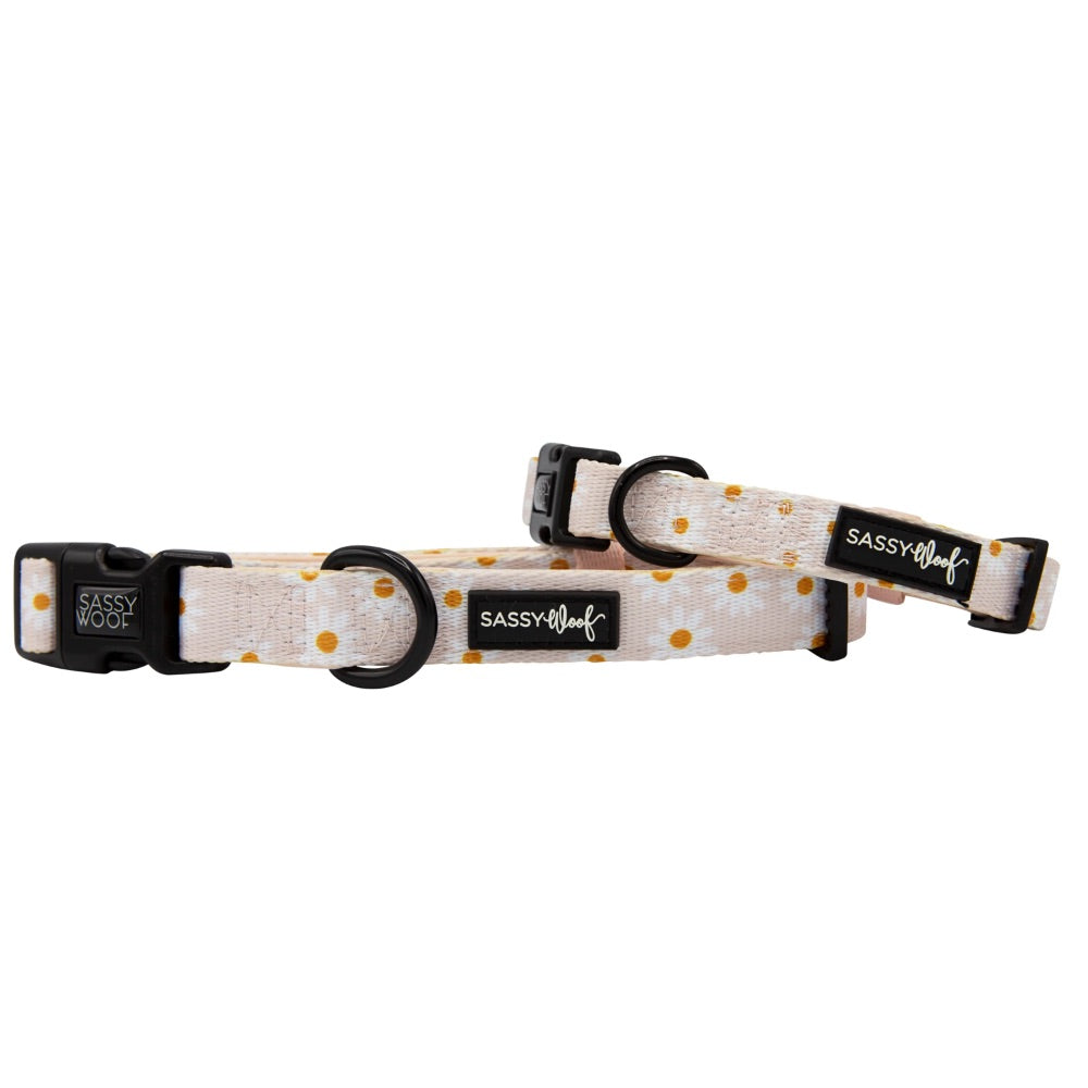 Sassy Woof Collar - Dainty Daisy