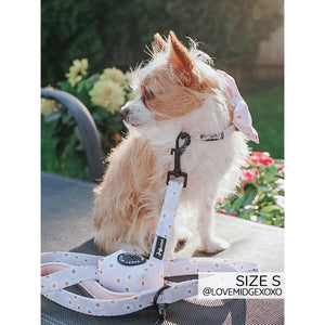 Sassy Woof Collar - Dainty Daisy
