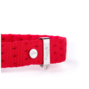 My Family Milano Dog Collar in Premier Quality Italian Nylon