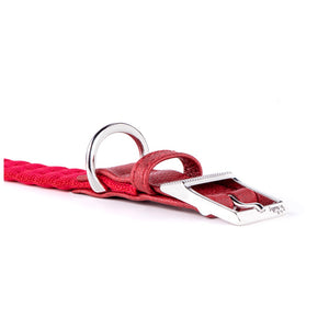 My Family Milano Dog Collar in Premier Quality Italian Nylon