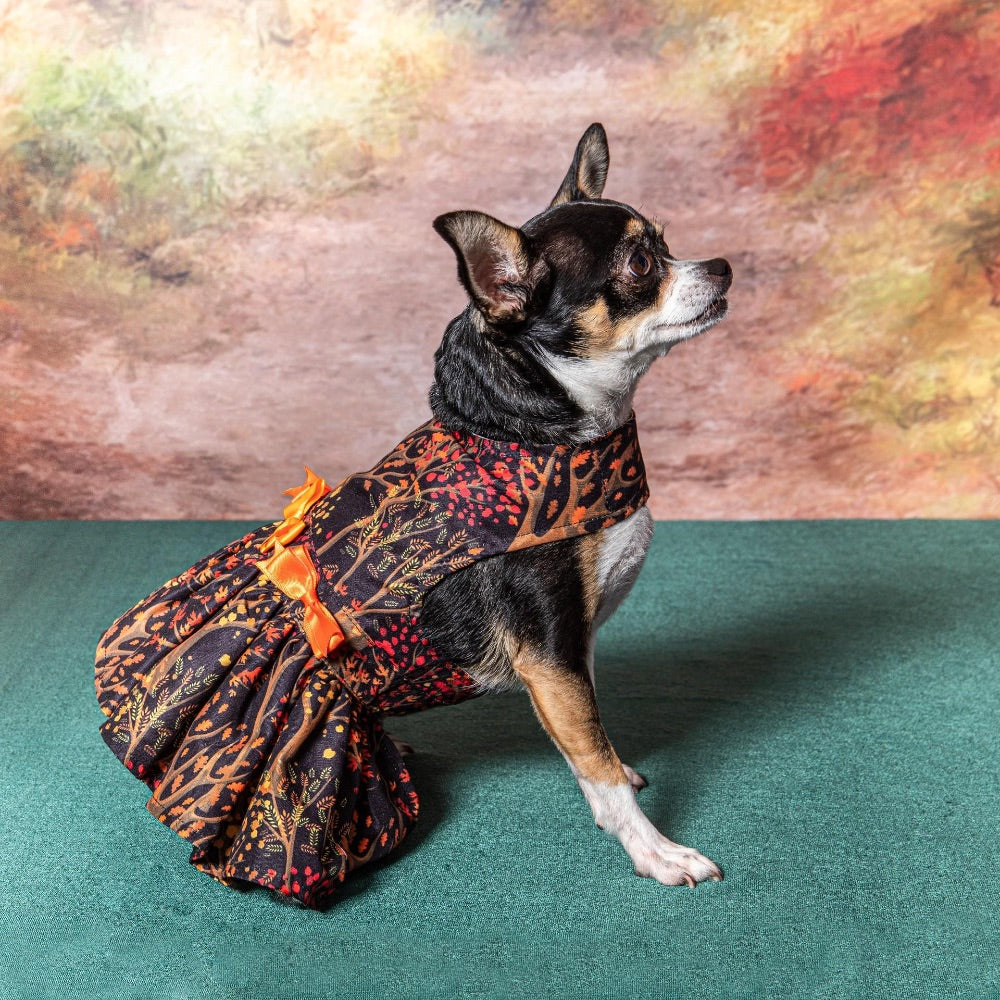 Doggie Design Fall Leaves Harness Dress With Matching Leash