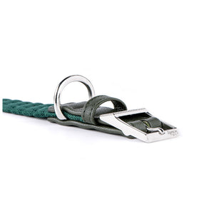 My Family Milano Dog Collar in Premier Quality Italian Nylon