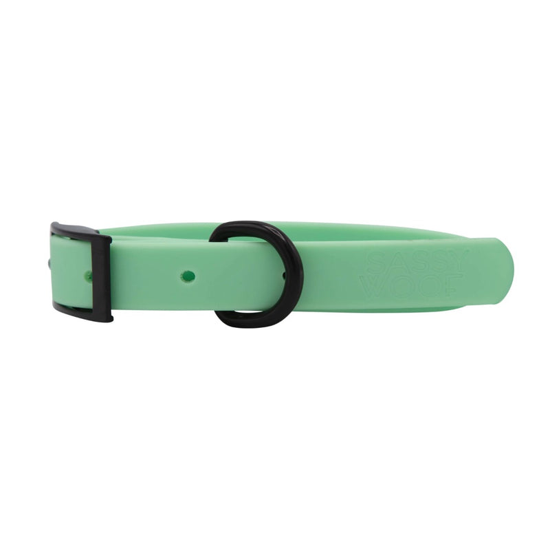 Sassy Woof Waterproof Collar - Green
