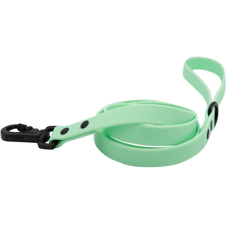 Sassy Woof Waterproof Leash - Green