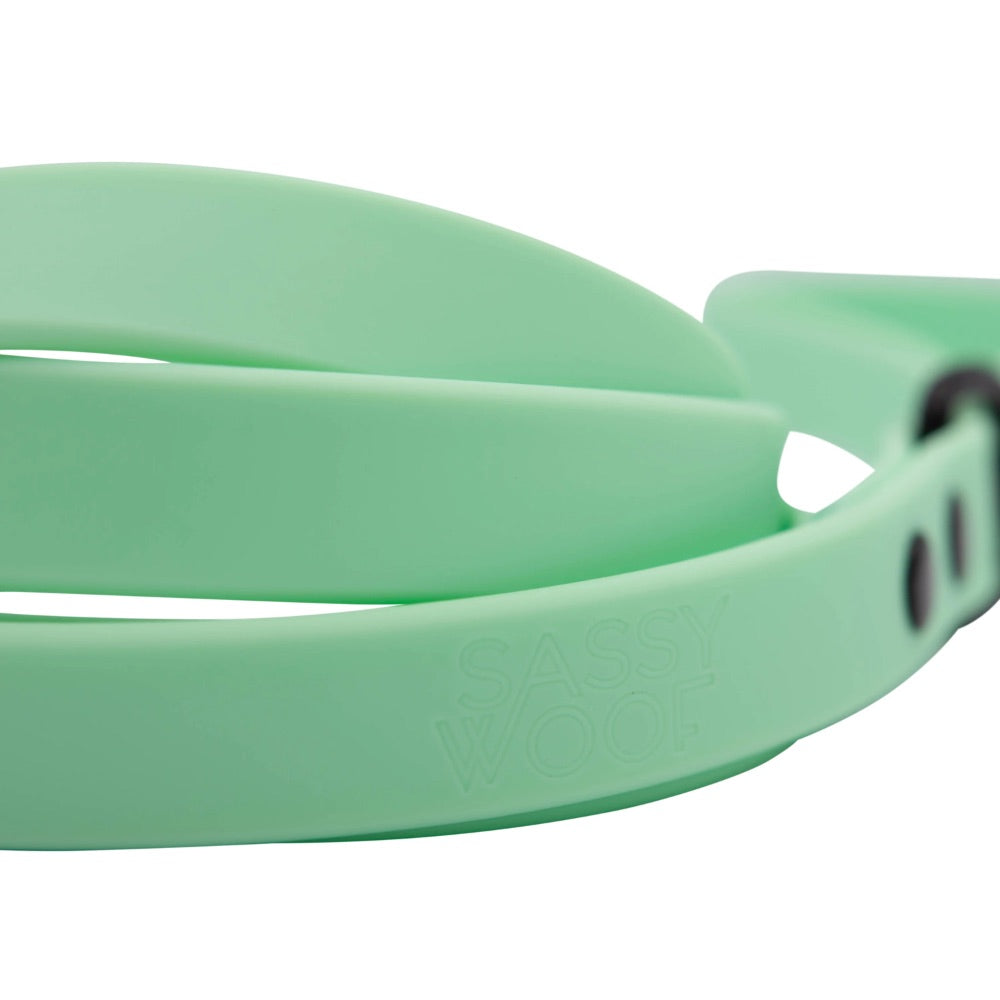Sassy Woof Waterproof Leash - Green