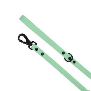 Sassy Woof Waterproof Leash - Green