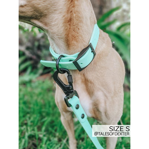 Sassy Woof Waterproof Collar - Green