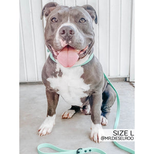Sassy Woof Waterproof Collar - Green