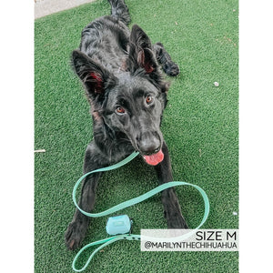 Sassy Woof Waterproof Collar - Green