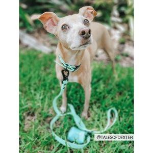 Sassy Woof Waterproof Leash - Green