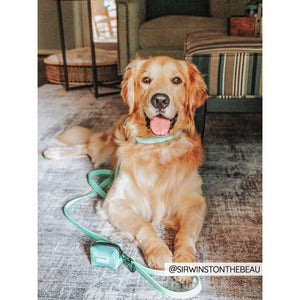 Sassy Woof Waterproof Leash - Green