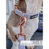 Sassy Woof Leash - 50 Shades of Sass