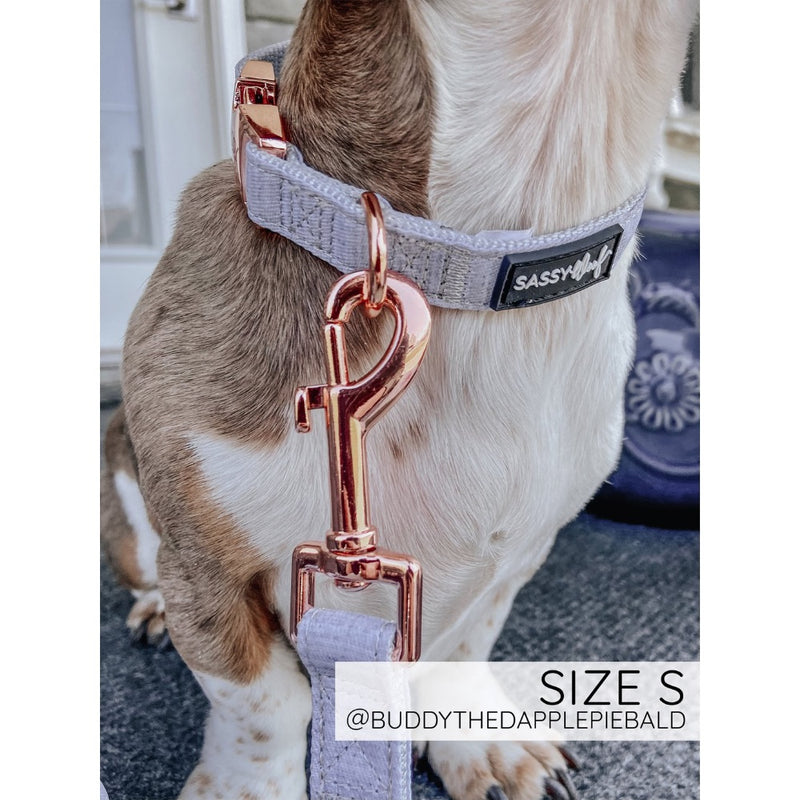 Sassy Woof Leash - 50 Shades of Sass