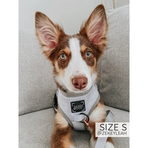 Sassy Woof Adjustable Harness - 50 Shades of Sass