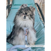 Sassy Woof Leash - 50 Shades of Sass