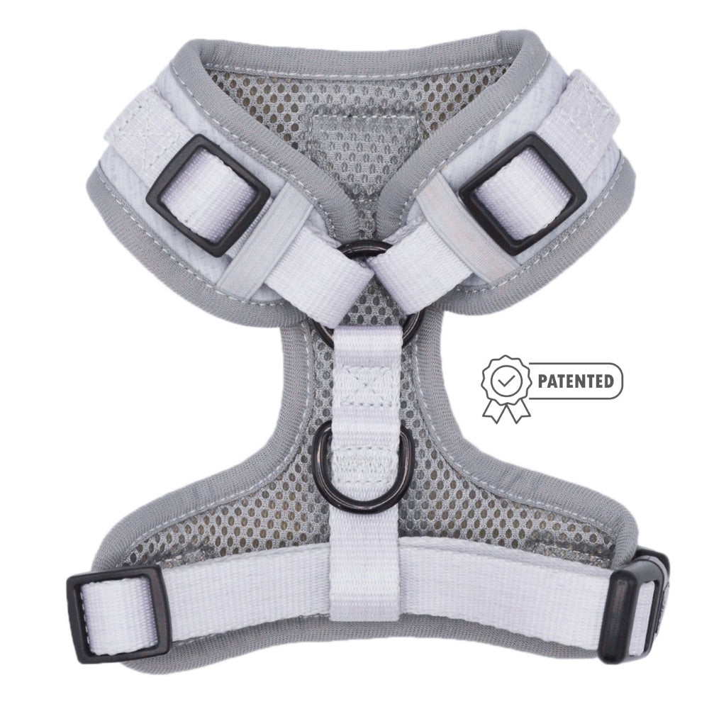 Sassy Woof Adjustable Harness - 50 Shades of Sass