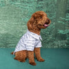 Doggie Design Halloween Camp Shirts - Mummy