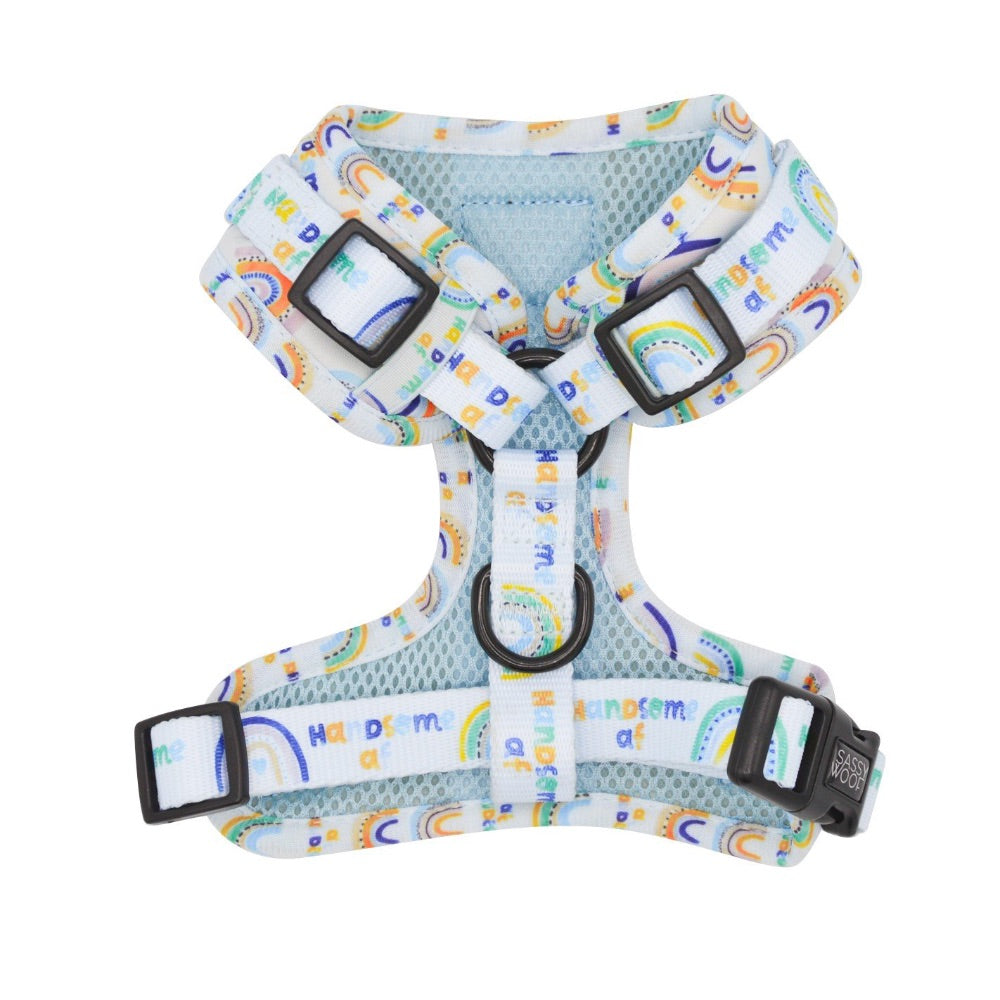 Sassy Woof ADJUSTABLE HARNESS - HANDSOME AF