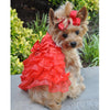 Doggie Design Holiday Dog Harness Dress - Red Satin