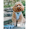 Sassy Woof Adjustable Harness - Holly Jolly Doggy