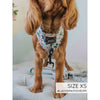 Sassy Woof Adjustable Harness - Holly Jolly Doggy