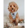 Sassy Woof Adjustable Harness - Holly Jolly Doggy