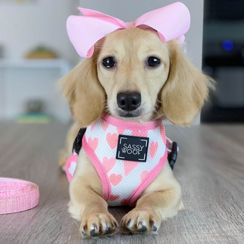 Sassy Woof REVERSIBLE HARNESS - DOLCE ROSE