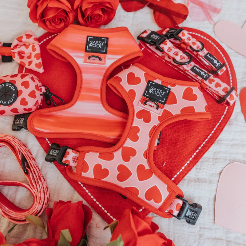 Sassy Woof DOG REVERSIBLE HARNESS - LOVE AT FIRST BARK