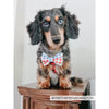 Sassy Woof Bowtie - Love Is Love