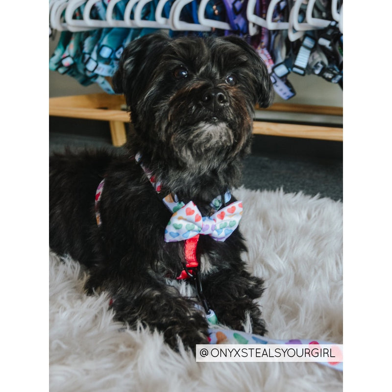 Sassy Woof Bowtie - Love Is Love