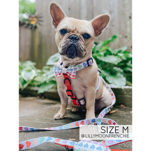 Sassy Woof Leash - Love Is Love