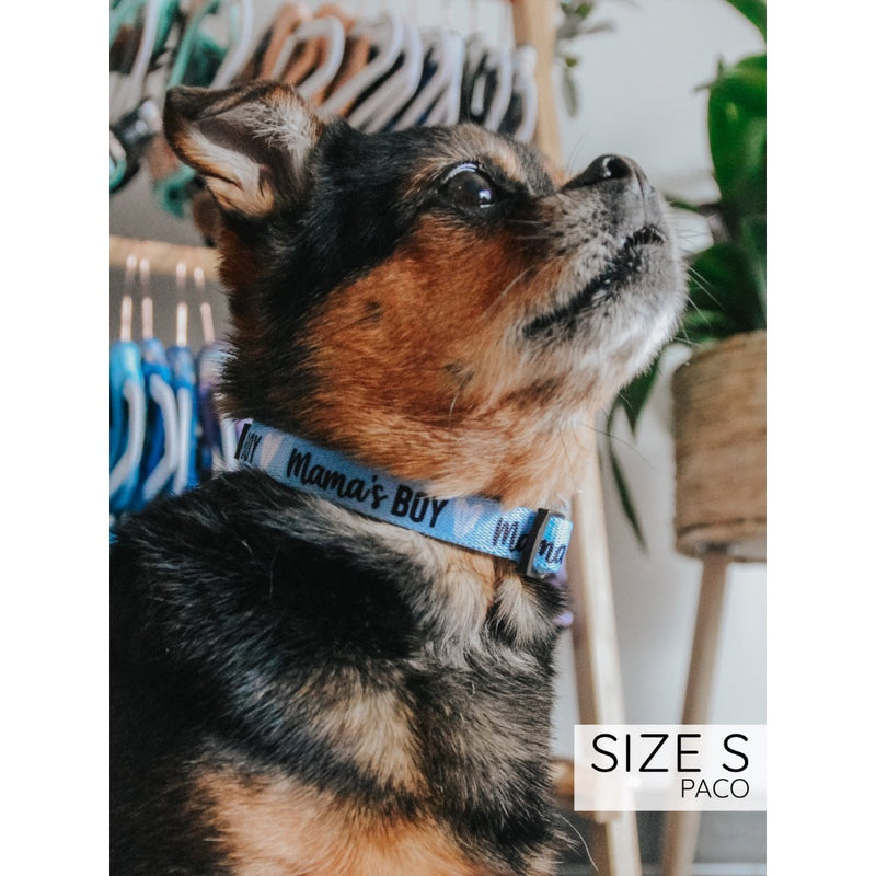 Sassy Woof Collar - Mama's Boy