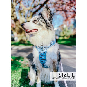 Sassy Woof Adjustable Harness - Mama's Boy with White Heart