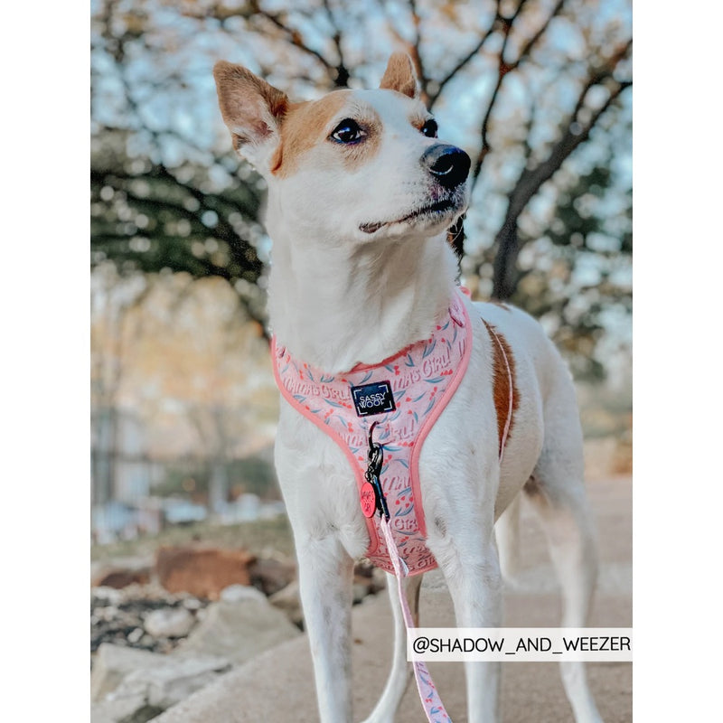 Sassy Woof Leash - Mama's Girl Floral