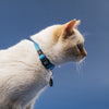 MyFamily memopet Blue Cat Collar - XS