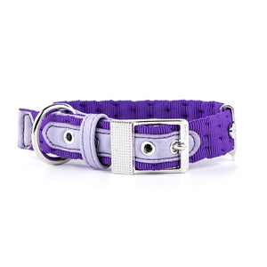 My Family Milano Dog Collar in Premier Quality Italian Nylon
