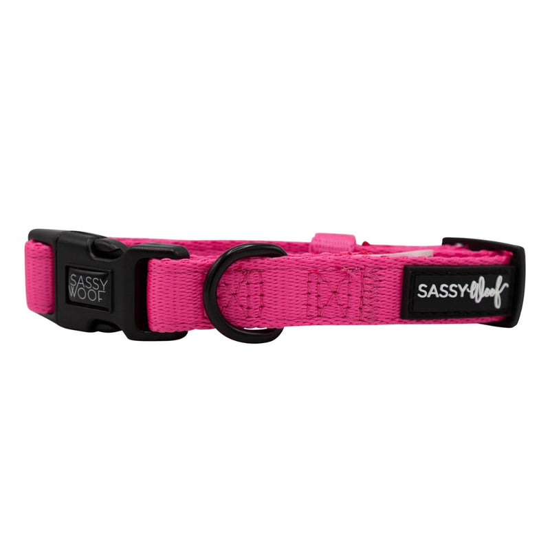 Sassy Woof Small Collar - Neon Pink