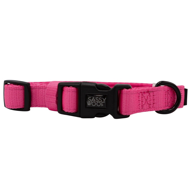 Sassy Woof Small Collar - Neon Pink