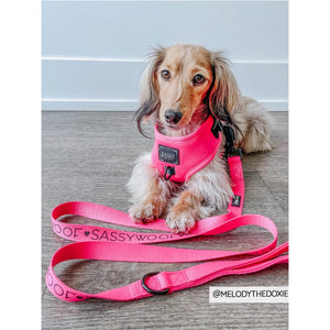 Sassy Woof Leash - Neon Pink