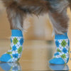 Doggie Design Non-Skid Dog Socks - Blue and Green Argyle