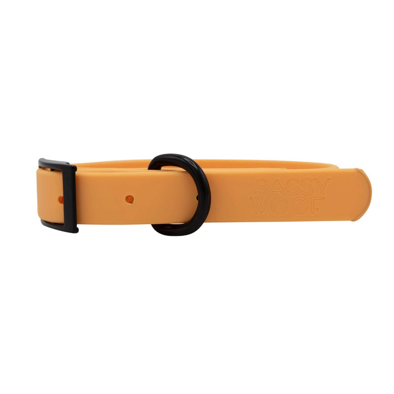 Sassy Woof Waterproof Collar - Orange